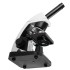 Микроскоп школьный Микромед Эврика 40x-1600x (вар. 3) с видеоокуляром