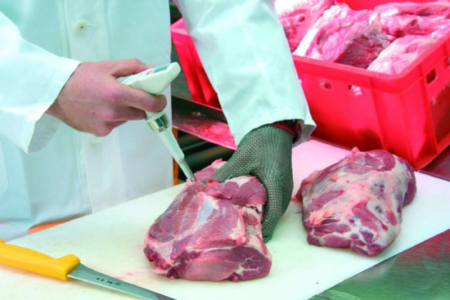 Комплект Testo 105 с кейсом